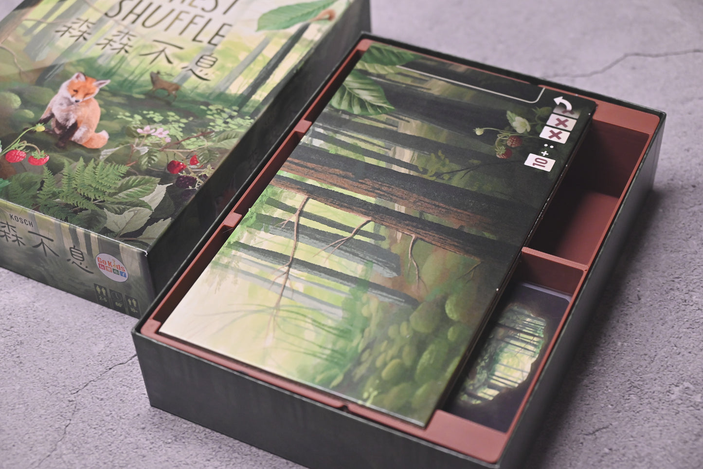 森森不息 Forest Shuffle 桌遊收納盒