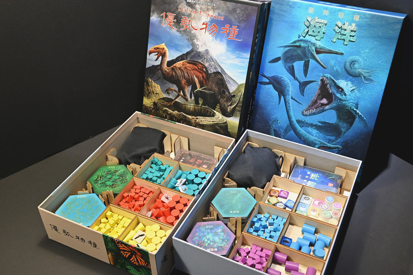 優勢物種 桌遊收納盒 Dominant Species board game insert 烏鴉盒子