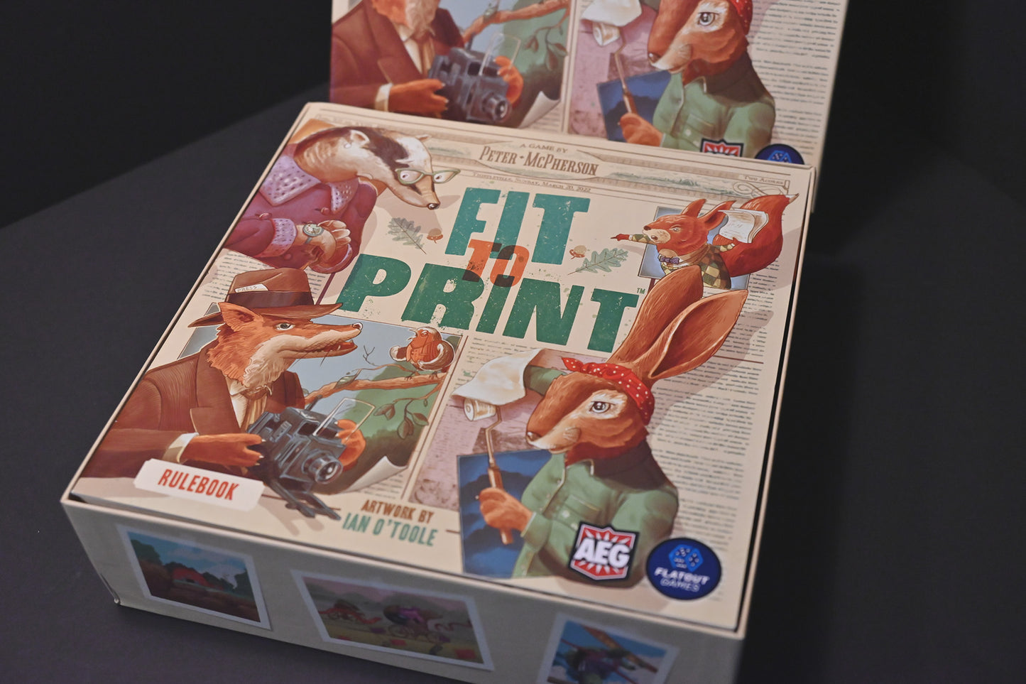 號外!動物日報 Fit to Print 桌遊收納盒 board game insert 烏鴉盒子桌遊收納