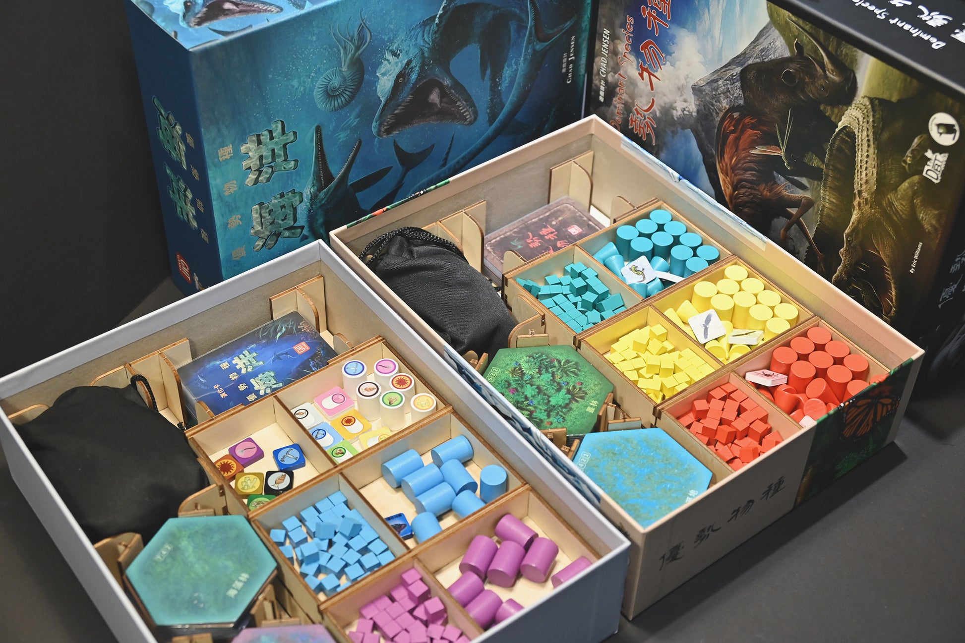 優勢物種 桌遊收納盒 Dominant Species board game insert 烏鴉盒子