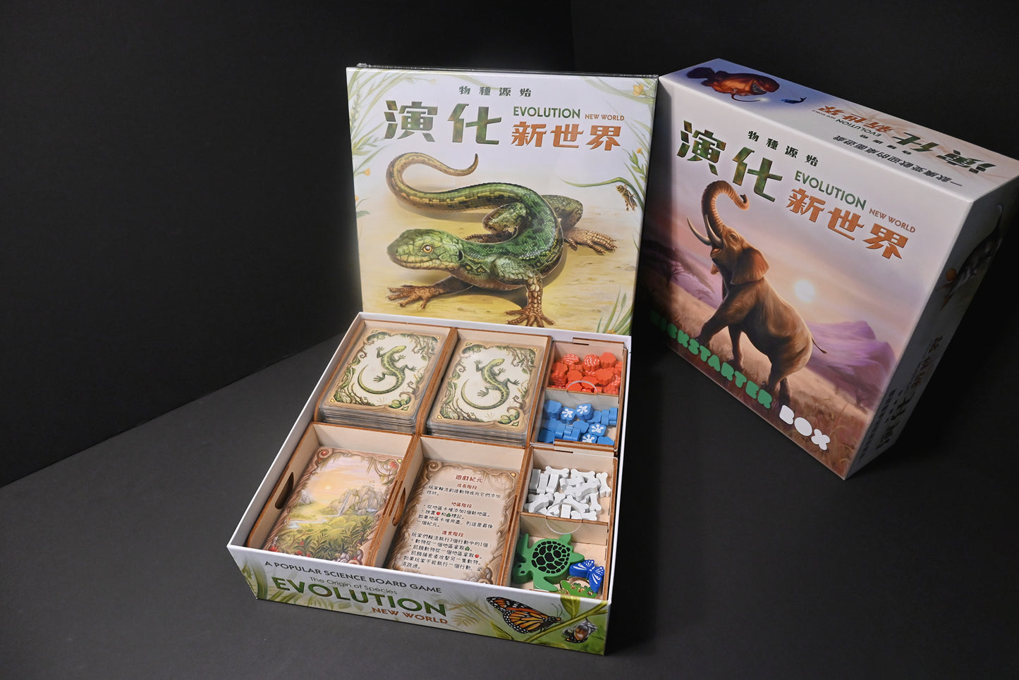 演化：新世界 桌遊收納盒 Evolution: New World insert 烏鴉盒子桌遊收納