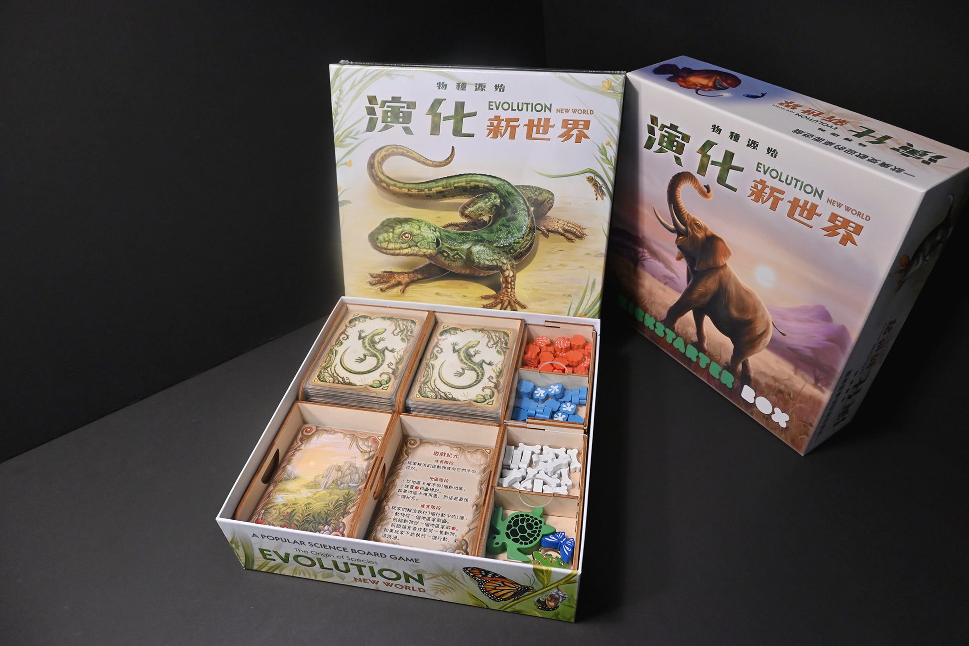 演化：新世界 桌遊收納盒 Evolution: New World insert 烏鴉盒子桌遊收納