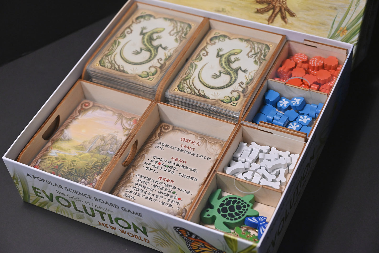 演化：新世界 桌遊收納盒 Evolution: New World insert 烏鴉盒子桌遊收納
