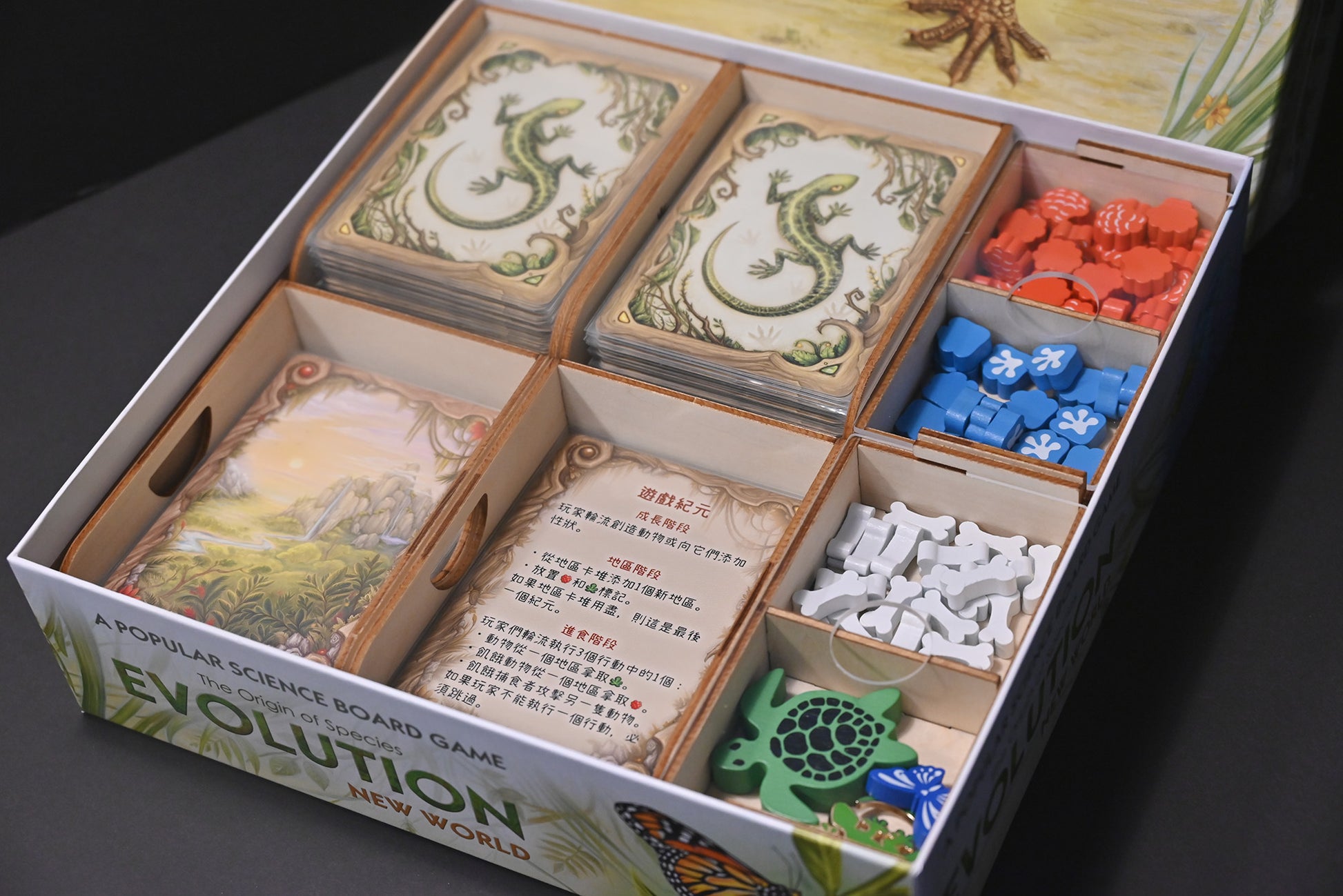 演化：新世界 桌遊收納盒 Evolution: New World insert 烏鴉盒子桌遊收納