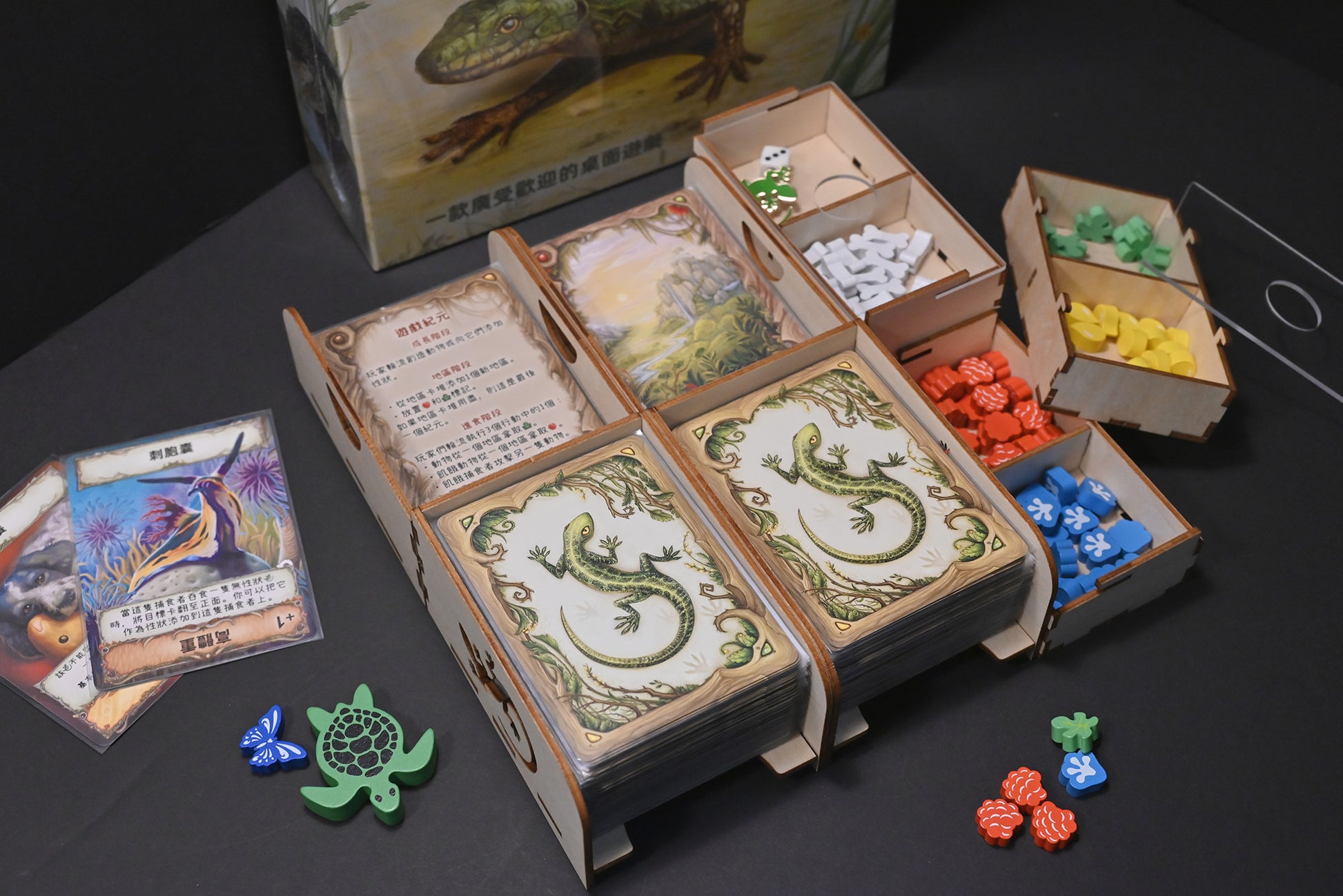 演化：新世界 桌遊收納盒 Evolution: New World insert 烏鴉盒子桌遊收納