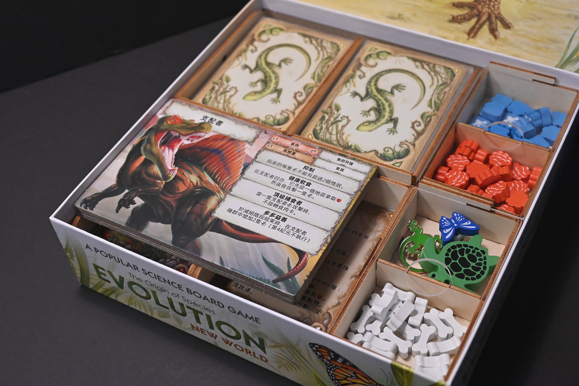 演化：新世界 桌遊收納盒 Evolution: New World insert 烏鴉盒子桌遊收納